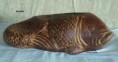 /album/fotogaleria-oferta/bagre-jpg/